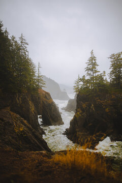 Rainy Oregon Coast