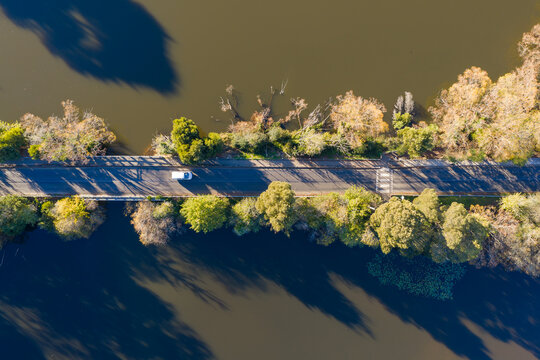 Tree lined causeway across a lake