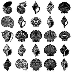 Detailed collection of decorative seashell illustrations and icons with seashell © eee