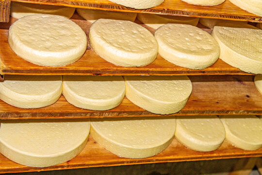 Bergk&auml;se - Sennerei - Allg&auml;u - Laibe - Milch