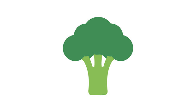broccoli isolated on white background