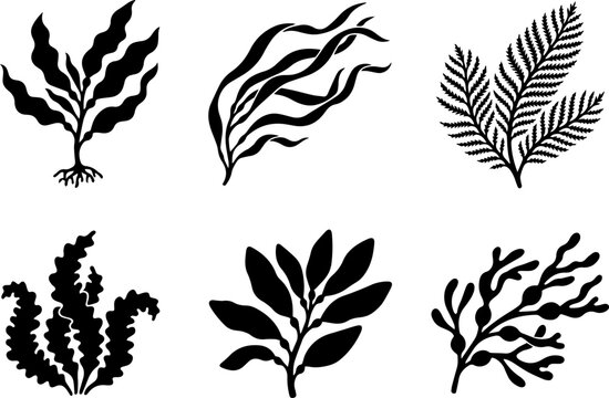 Black silhouette seaweed collection diverse marine algae vector illustrations for ocean themed designs
