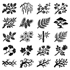 Fototapeta premium Diverse botanical branch and tree element icon set with botanical, silhouette