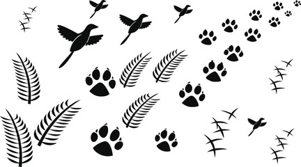 Collection of animal footprints bird tracks and feather silhouettes on transparent background © Sadhin07