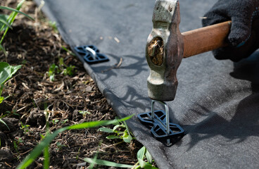 A person wearing boots and gloves is kneeling on the ground on a flower bed installing black weed fabric © Svetlana Verbitskaya