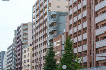 Naklejka premium 立ち並ぶ都会の分譲マンションと街路樹。不動産売買や新生活の背景