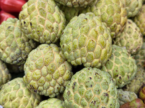 Group of fresh green sugar apples custard apples background