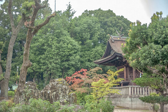 新緑と注連縄が巻かれた巨石に守られた由緒ある阿智神社の社殿/The Main Hall of the Historic Achi Shrine Protected by Fresh Green Trees and a Sacred Giant Rock Wrapped with Shimenawa Rope