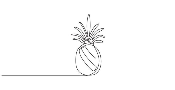 Animated self drawing of single continuous line draw whole healthy pineapple organic for orchard logo identity. Fresh summer fruitage concept for fruit garden icon. Full length one line animation.