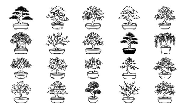 Decorative Bonsai Tree Collection with Various Miniature Plant Shapes Vector Illustration Icons