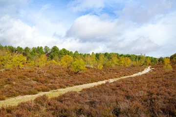 Path of the Hot Valley on Fontainebleau forest. Autumn season © hassan bensliman