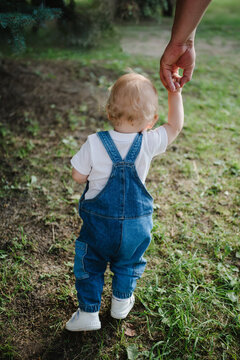 Toddler taking first steps holding parent's hand in a park. Baby wearing denim overalls and white t-shirt. Concept of support, guidance, family love, childhood, and new beginnings. Back view.