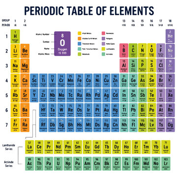Periodic Table of Elements Education Graphic