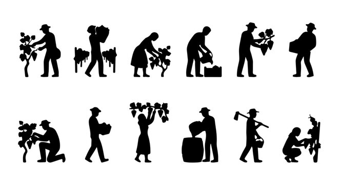 Vineyard Harvest Silhouettes: Grape Picking, Farming, Agriculture, Rural Life, 12 Vector Icons
