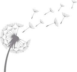 Un dibujo minimalista de una flor de diente de león con semillas volando al viento sobre un fondo blanco limpio © Rifat