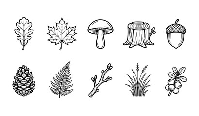 Hand Drawn Autumn Nature Collection with Leaves Mushroom Tree Stump Pinecone Grass and Acorn Illustrations © Keyapayal
