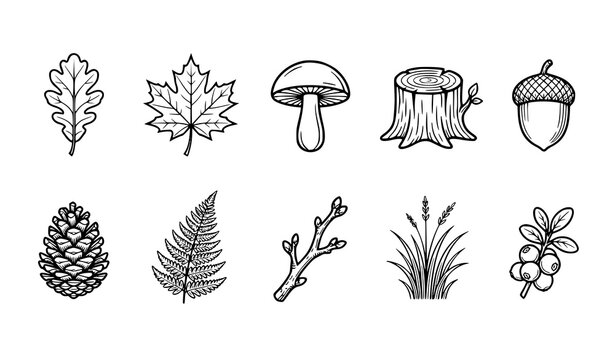 Hand Drawn Autumn Nature Collection with Leaves Mushroom Tree Stump Pinecone Grass and Acorn Illustrations