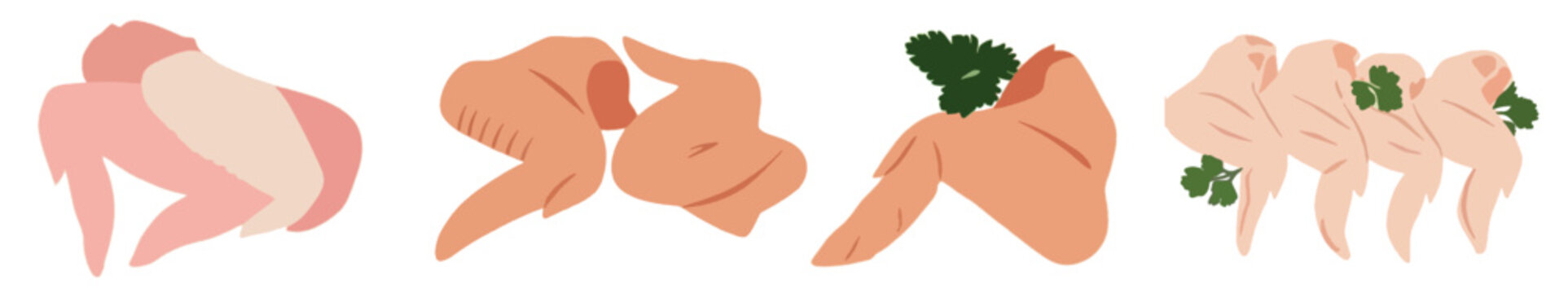 Fresh raw chicken wings set, organic poultry wings with parsley garnish for butcher shop vector illustration.
