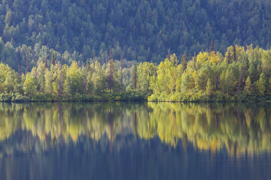 Summer lake