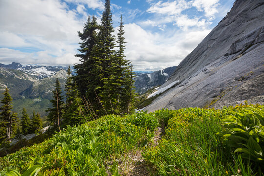 Summer mountains