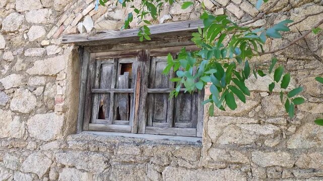 A broken, weathered wooden window of an old stone dwelling peeks out from amidst vegetation overgrown with the passage of time.