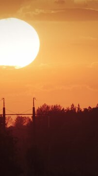 Golden Sun Setting Behind Trees in Tranquil Horizon