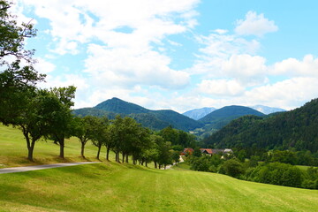 Fototapeta premium Wanderwege in Scheuchenstein, Niederösterreich
