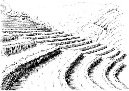 Una tinta detallada en blanco y negro de campos de arroz en terrazas en una ladera empinada de monta&ntilde;a