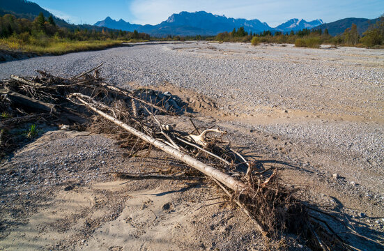 Kompletter Trockenfall der Isar, deren Wasser bei Kr&uuml;n in einem Kanal zum Walchensee abgeleitet wird und das Restwasser bei Wallgau unter einer meterdicken Kiesschicht versickert.