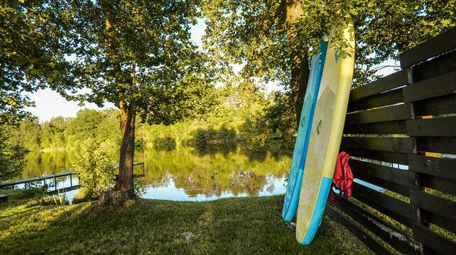 Stand up paddleboards resting by a serene lake surrounded by lush green trees