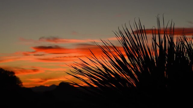 vivid orange sunset over a desert mountain range, a landscape characteristic of New Mexico.