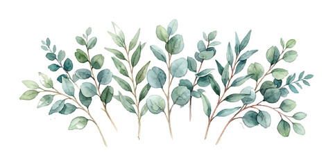 Watercolor eucalyptus leaves branch arrangement in shades of grey and green © md