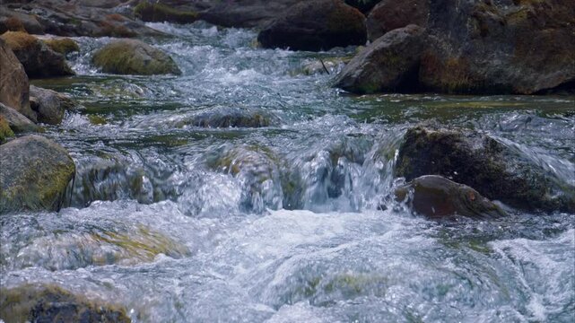 Fresh water of mountain stream flowing in summer. Trout fishing. Ariege Pyrenees France