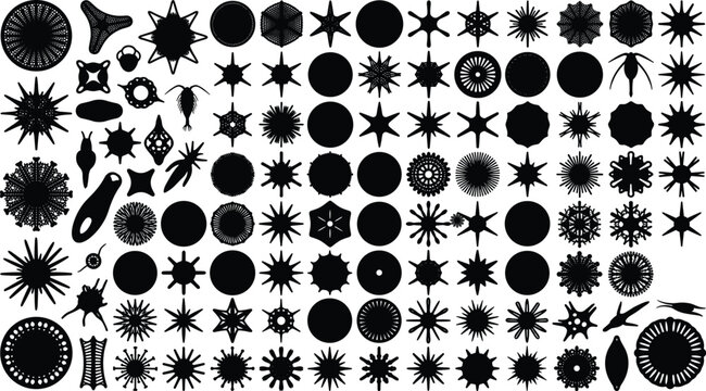 Plankton And Diatoms Vector Silhouette Mega Pack Featuring Microscopic Marine Organisms Radiolaria Protists Algae And Microorganisms