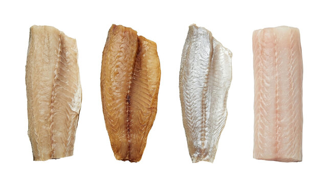 Fresh raw white fish fillets arranged in a row high quality 4K PNG image in white background