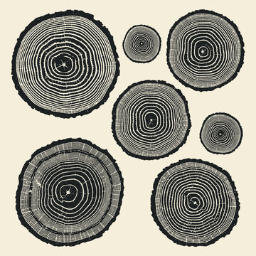 A set of seven black wood ring illustrations showing annual growth patterns with a rustic feel on a bright neutral backdrop.