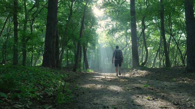 Hiker walking on a path in a misty green forest with sunbeams