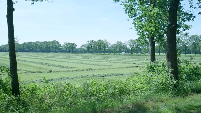 Agricultural landscape showing a freshly mown hayfield