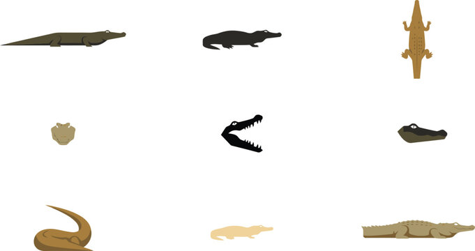 Bold contemporary vector icon set of crocodiles and alligators in different styles for creative wildlife art