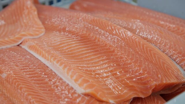 水産加工工場で製造されるサーモンフィレ 新鮮な鮭の切り身