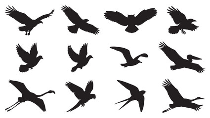 Fototapeta premium Birds in Flight Silhouettes Vector Icon Set Bundle
