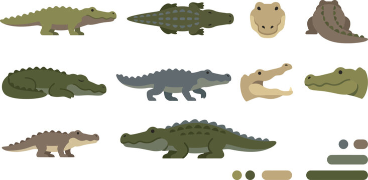 Collection of flat vector crocodile illustrations showing various poses and angles for wildlife design projects