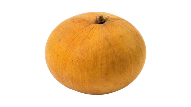 Santol Fruit Isolated Food Still Life with Fresh Visual Emphasis #368