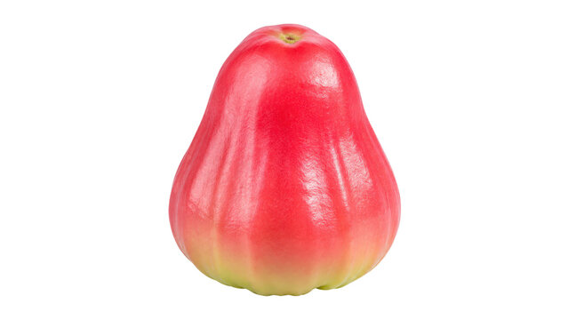 Wax Apple Fruit Isolated Food Still Life in Bright Lifestyle Setting #444