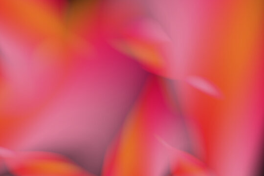 Abstract blurry gradient background with soft pink and orange wavy shapes, fluid vibrant colorful bokeh texture wallpaper