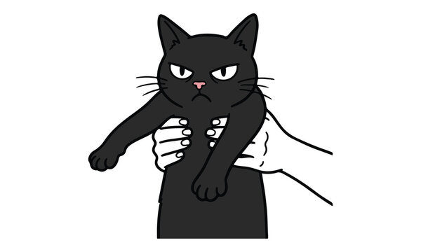 Angry black cat resisting being held cartoon illustration