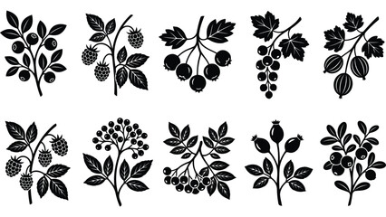 Set of black berry silhouettes. Collection of forest fruit icons and botanical elements. © Mahraz