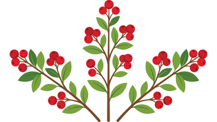Red berry branches on white background. Autumn botanical illustration with green leaves. © Mahraz