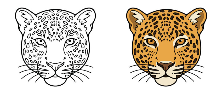 Leopard Head Vector Illustration and Coloring Page
