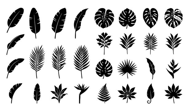 Collection of various nature tree leaves shapes black silhouettes isolated on white background vector illustration